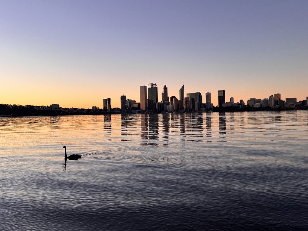 City skyline at dusk reflected in still water with a black swan