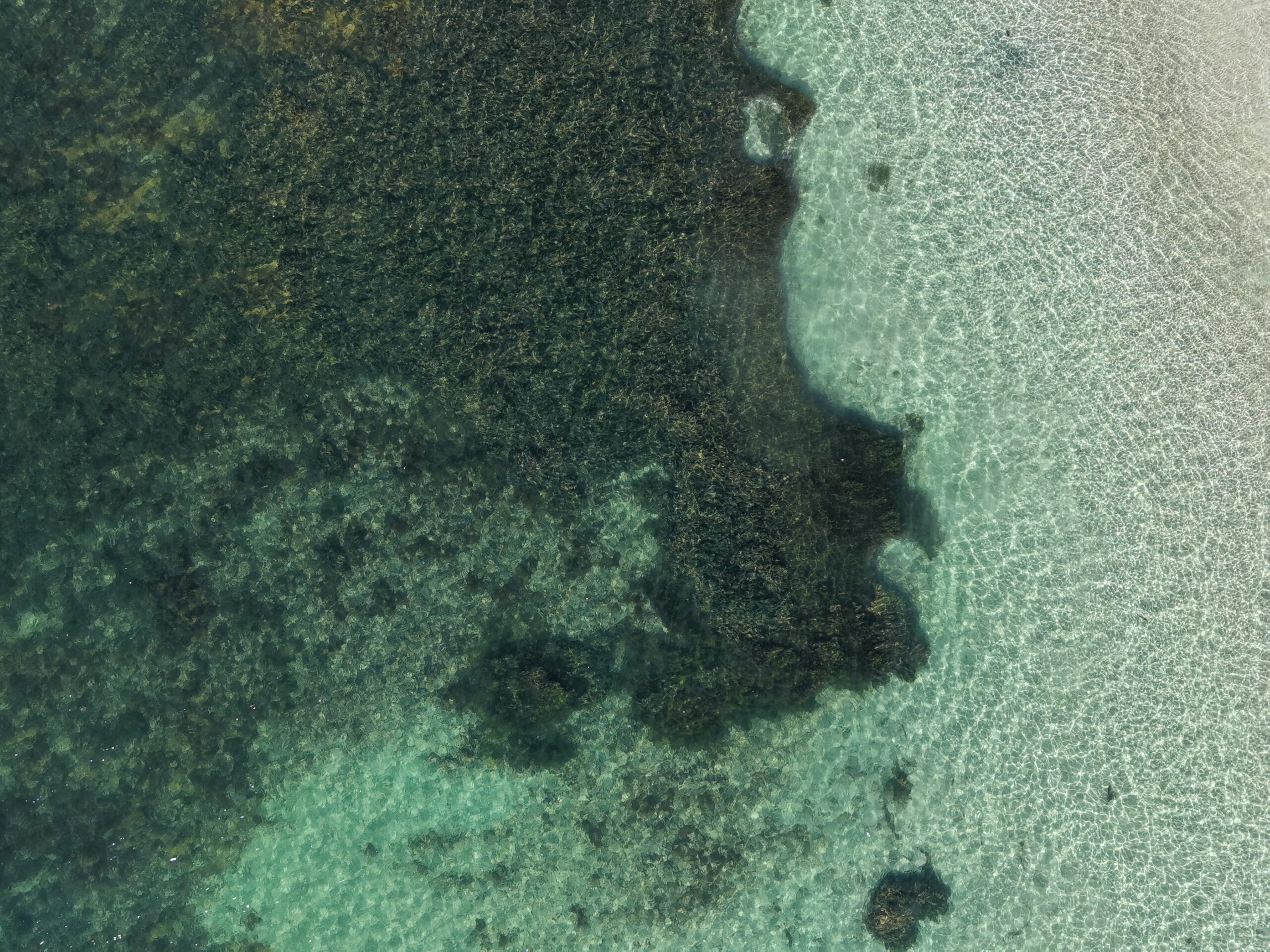 Aerial view of clear turquoise water with a dark coral reef edge running diagonally from left to center.