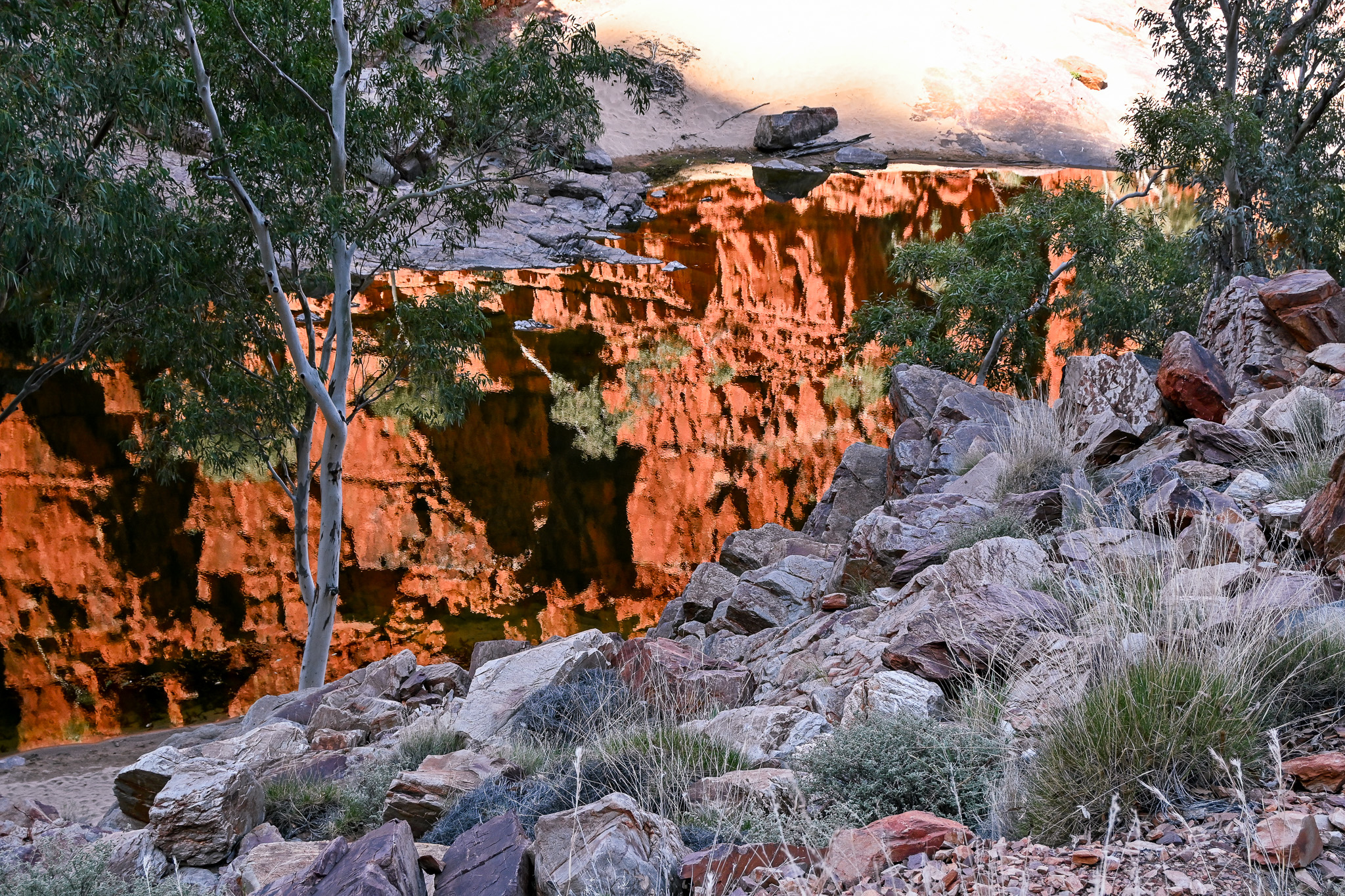 Rugged rocky bank with orange-reflected water and sparse grasses, framed by green trees and boulders.
